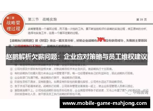 赵鹏解析欠薪问题：企业应对策略与员工维权建议