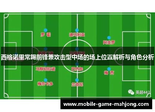 西格诺里常踢前锋兼攻击型中场的场上位置解析与角色分析