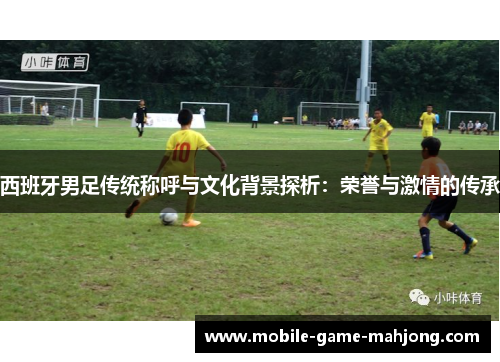 西班牙男足传统称呼与文化背景探析:荣誉与激情的传承 西班牙男足传统称呼与文化背景探析:荣誉与激情的传承