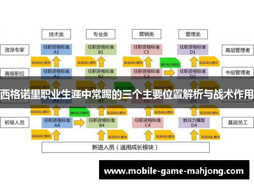 西格诺里职业生涯中常踢的三个主要位置解析与战术作用 西格诺里职业生涯中常踢的三个主要位置解析与战术作用