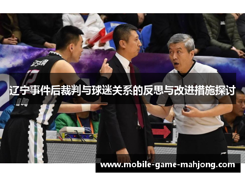 辽宁事件后裁判与球迷关系的反思与改进措施探讨