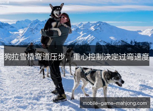 狗拉雪橇弯道压步，重心控制决定过弯速度